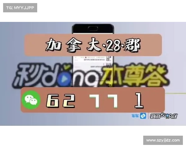加拿大PC28官方平台介绍及其游戏玩法详解 加拿大PC28官方平台介绍及其游戏玩法详解